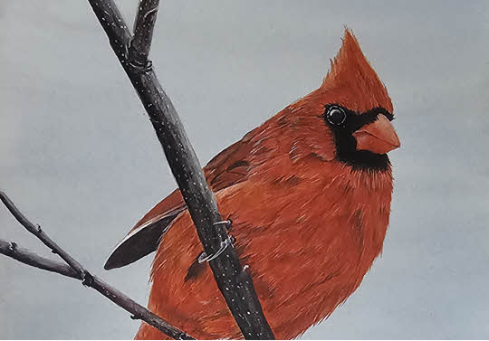 Tattoos and Watercolor Painting